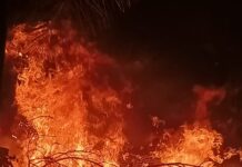 Tim Karhutla Tanjung: Bergerak Bersama Menjaga Kampung dari Ancaman Api