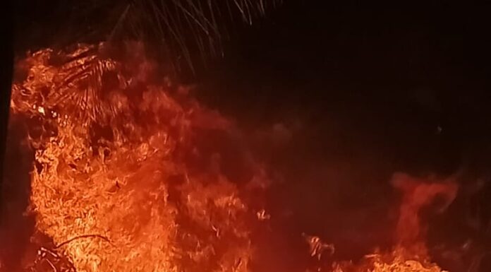 Tim Karhutla Tanjung: Bergerak Bersama Menjaga Kampung dari Ancaman Api